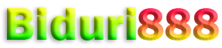 BIDURI888